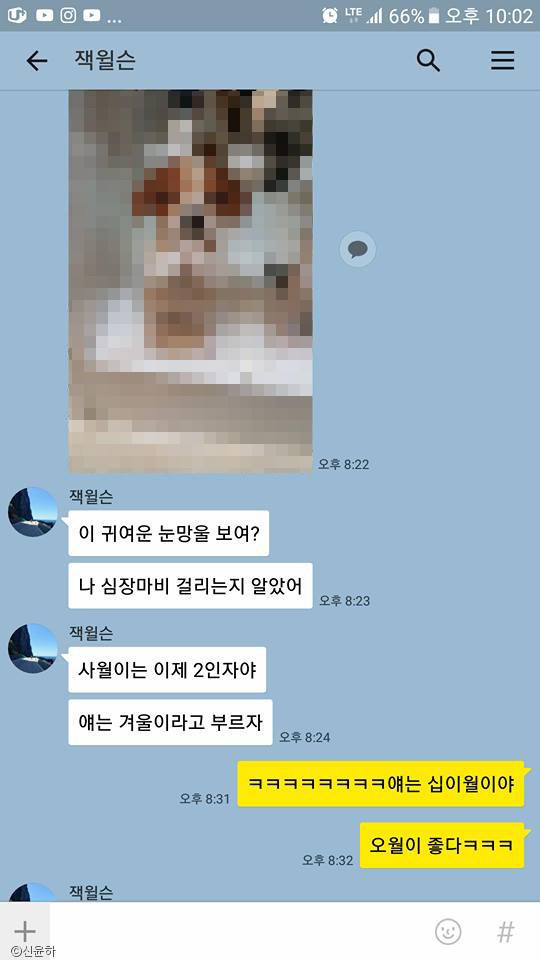 노트펫