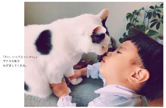 노트펫