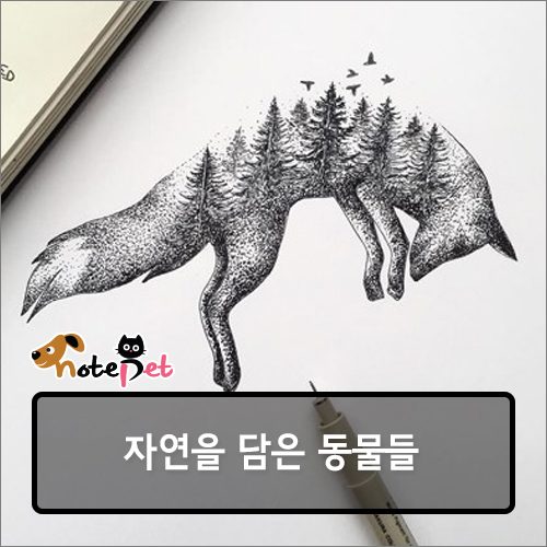 노트펫