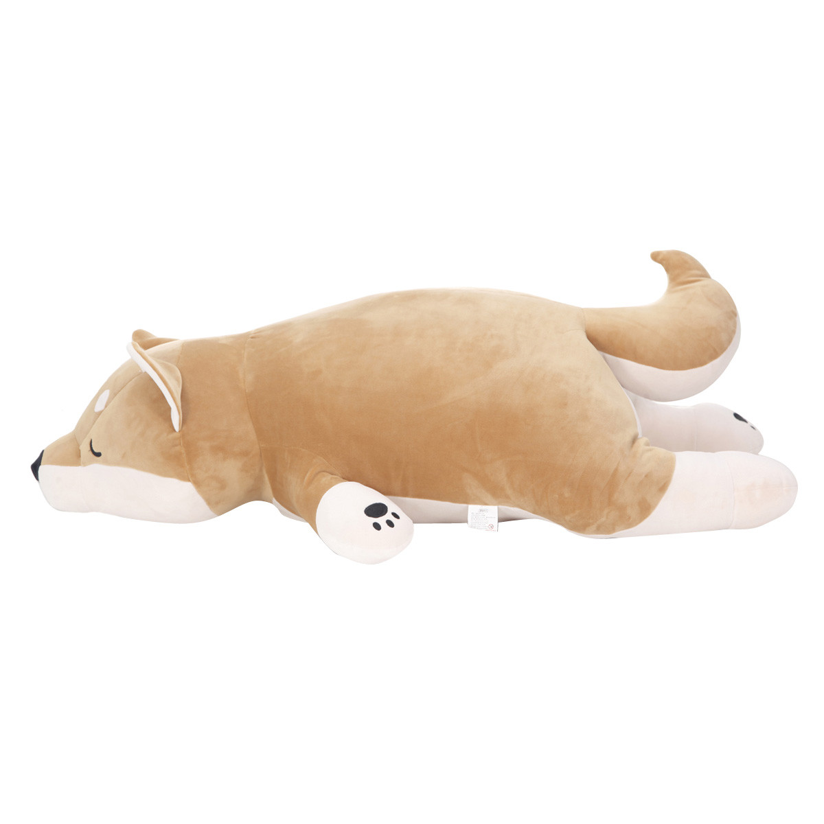 노트펫