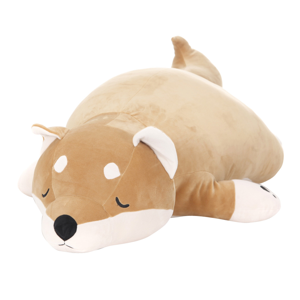 노트펫