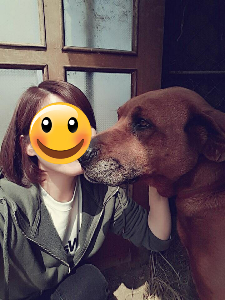 노트펫
