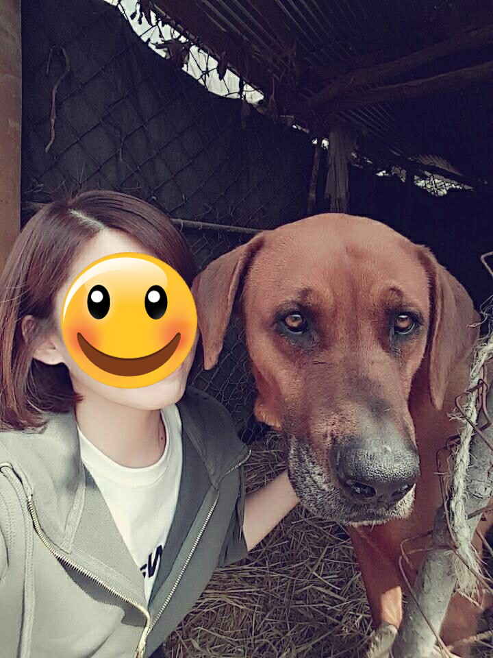 노트펫