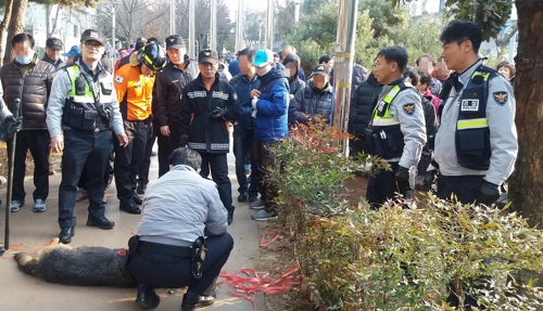 노트펫