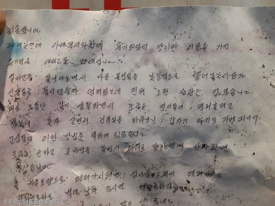 노트펫