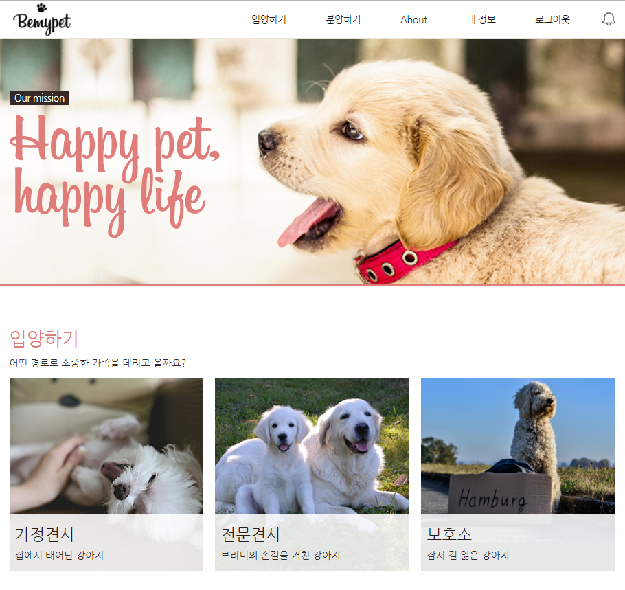 노트펫