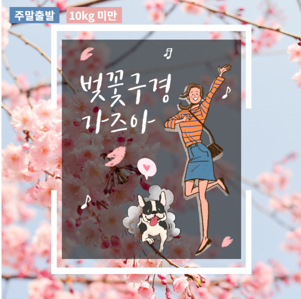 노트펫