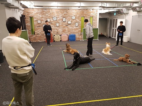 노트펫