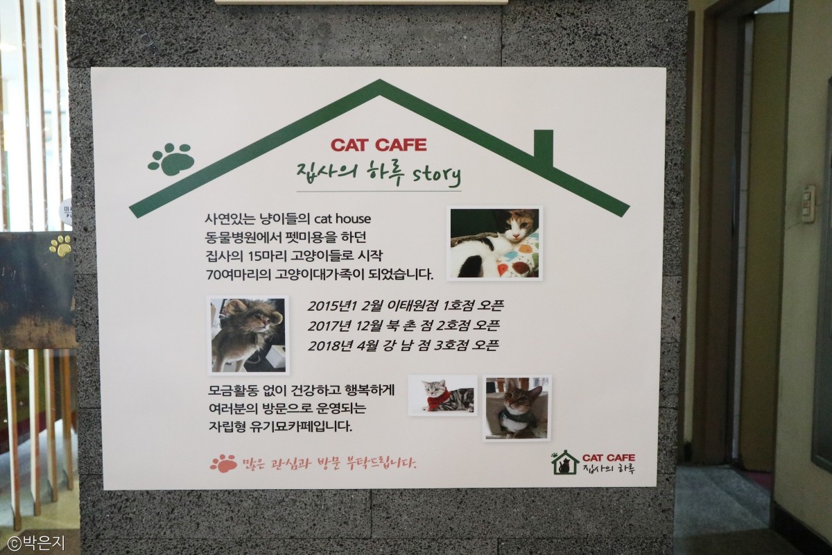노트펫