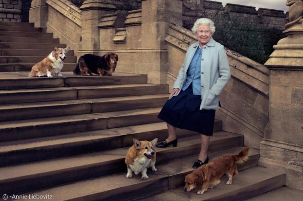2016년 엘리자베스 여왕 90세 생신 기념사진. 맨 위 왼쪽부터 시계 방향으로 윌로우, 불칸, 캔디, 홀리다. 이제 코기와 닥스훈트 믹스견 불칸과 캔디 만이 남았다. 