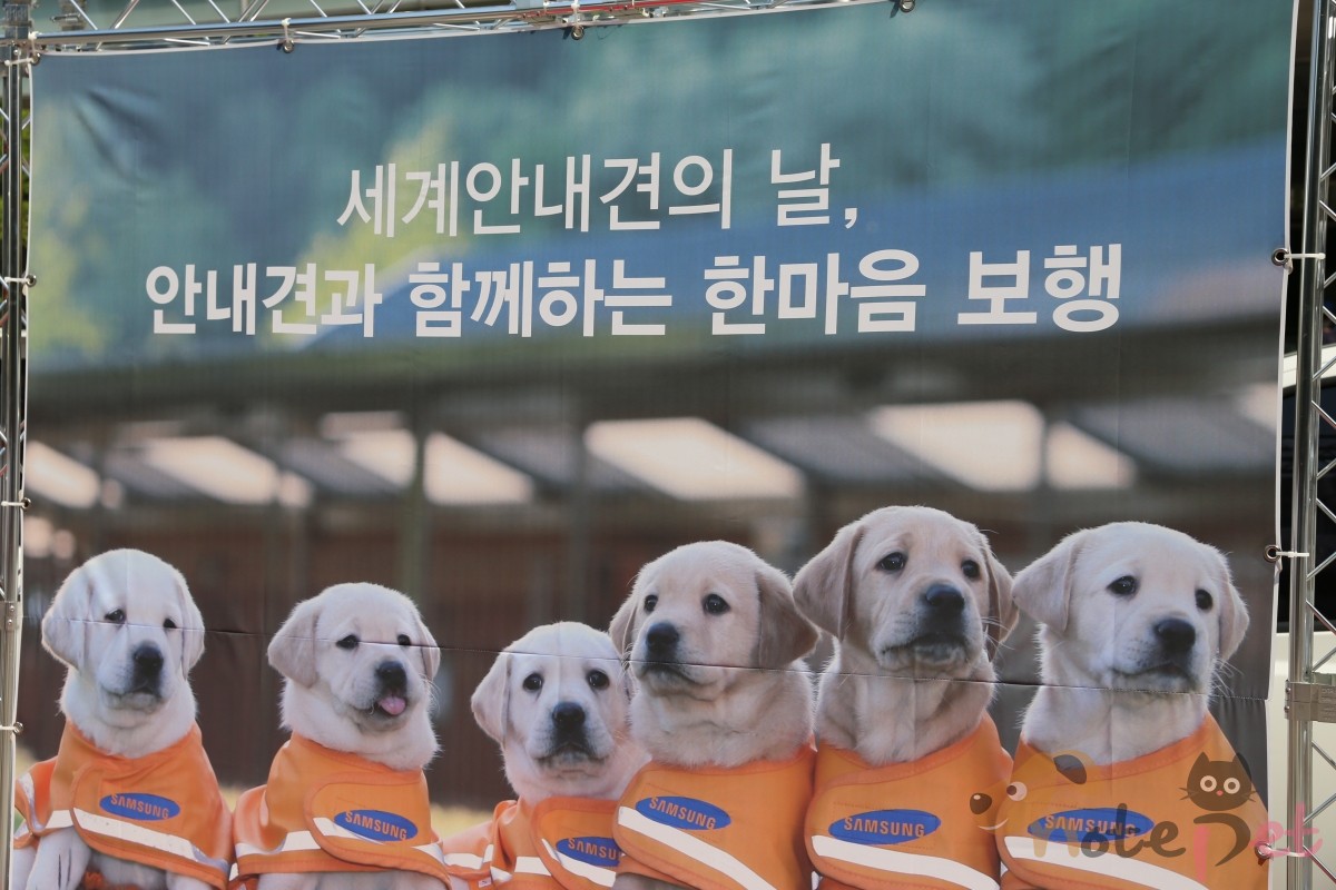 노트펫