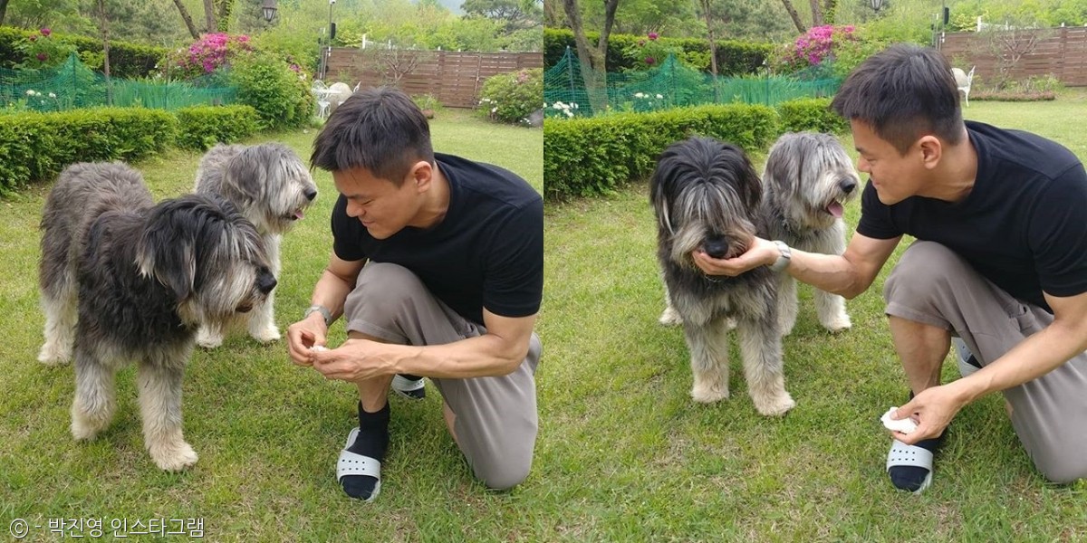 노트펫