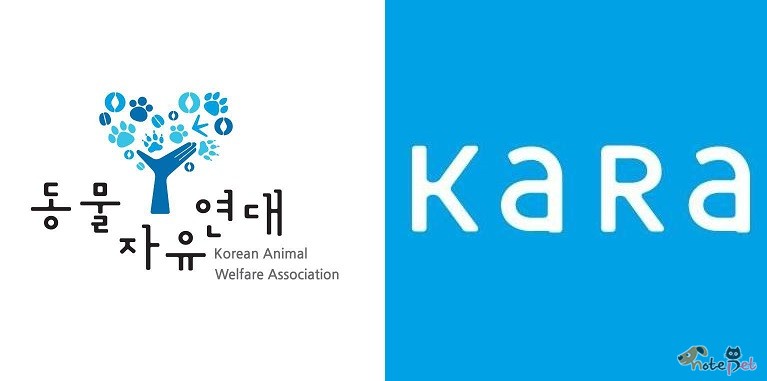 노트펫