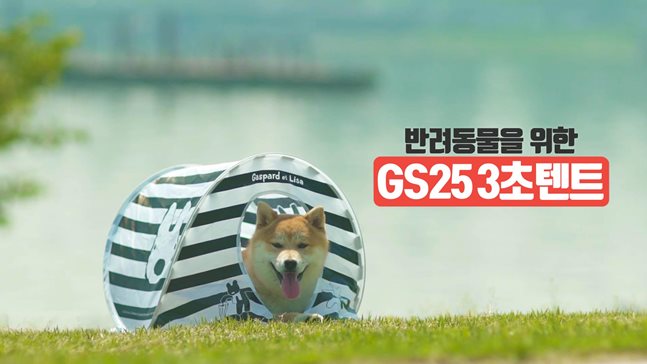 노트펫