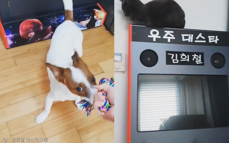 노트펫