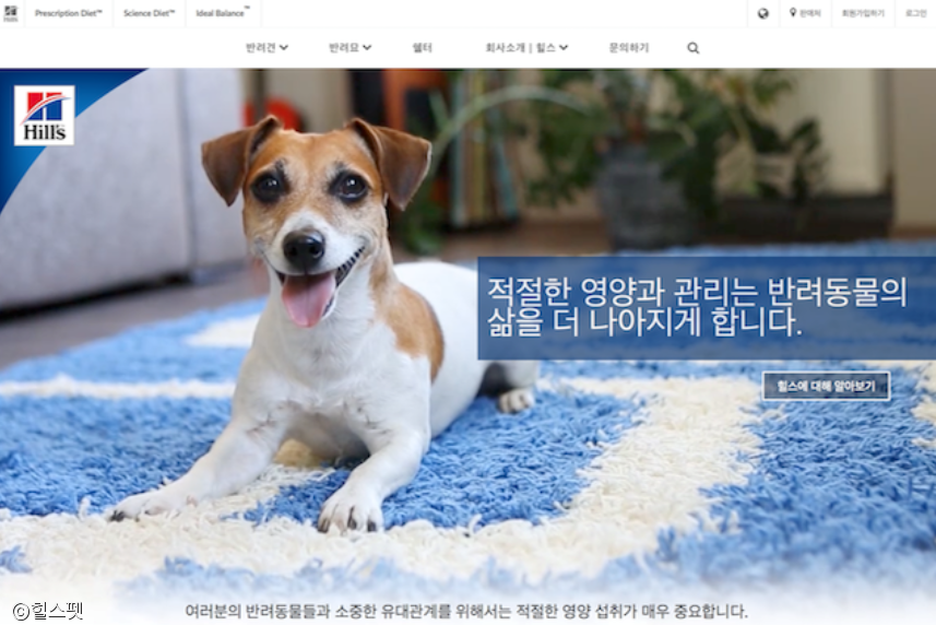 노트펫