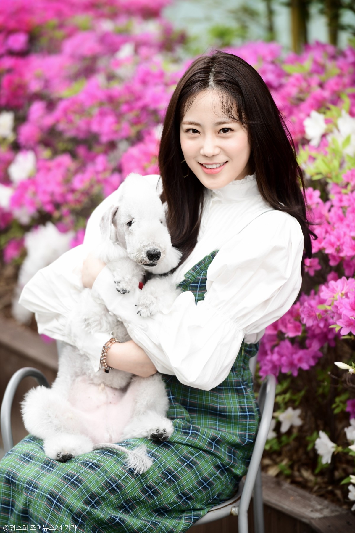 노트펫