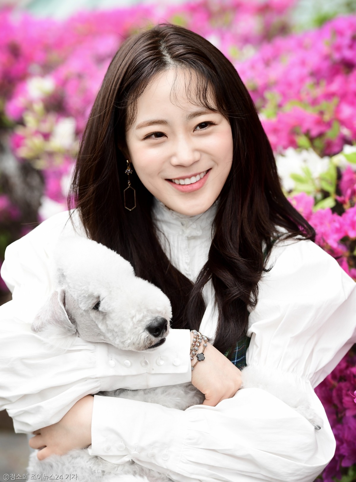 노트펫