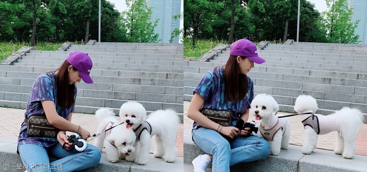 노트펫