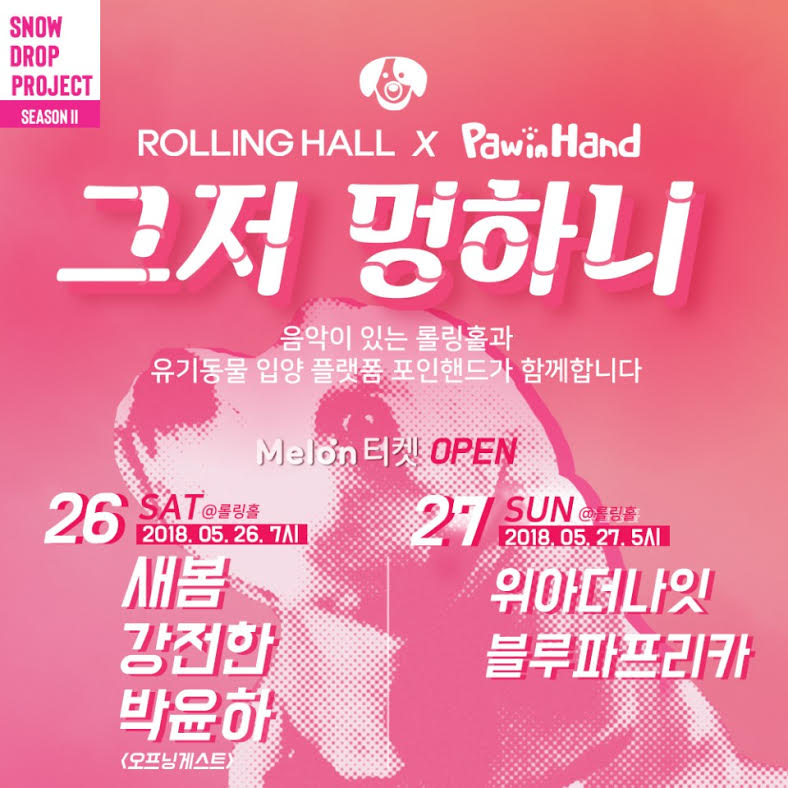 노트펫