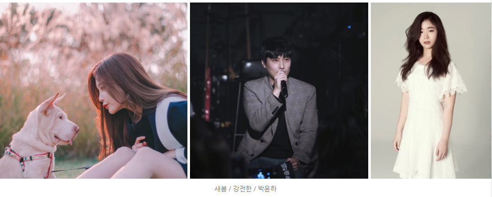 노트펫