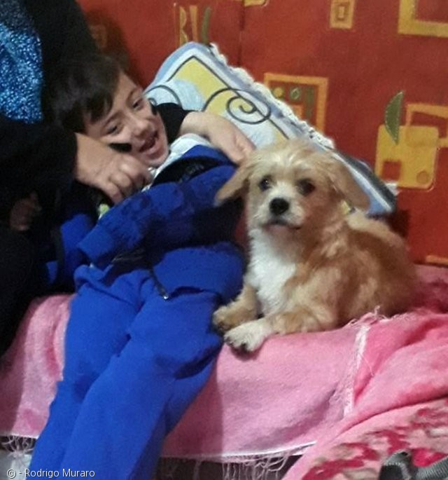노트펫