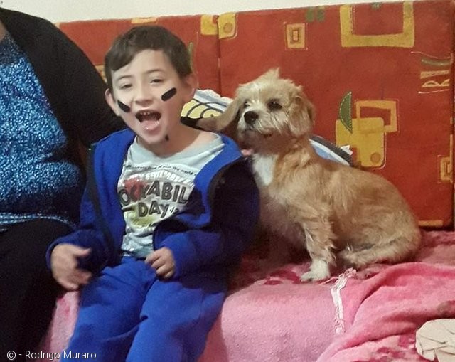 노트펫