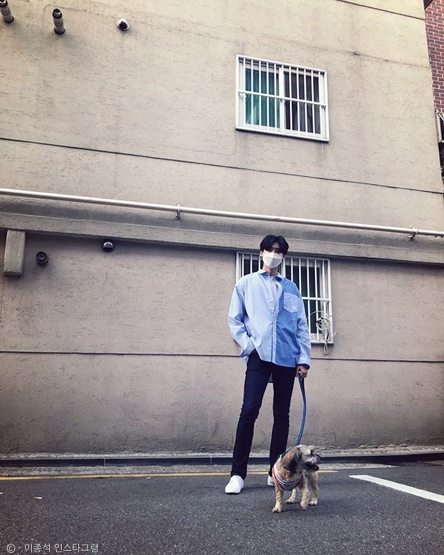 노트펫