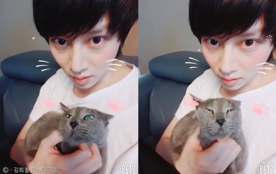 노트펫