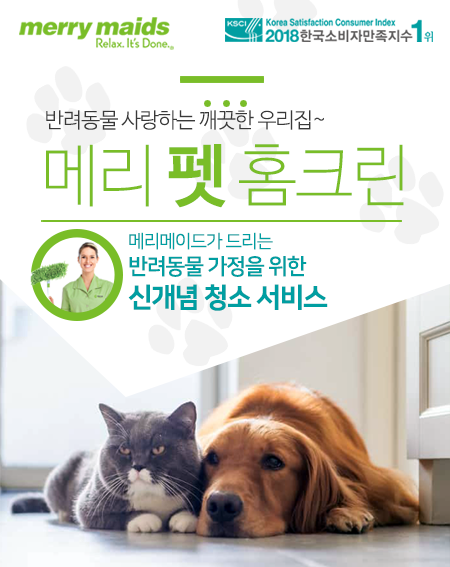 노트펫