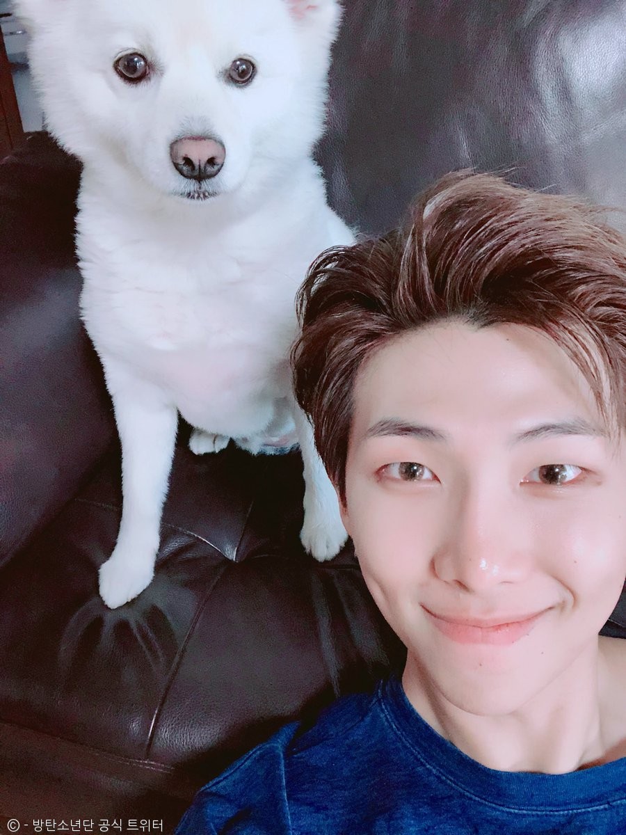 노트펫