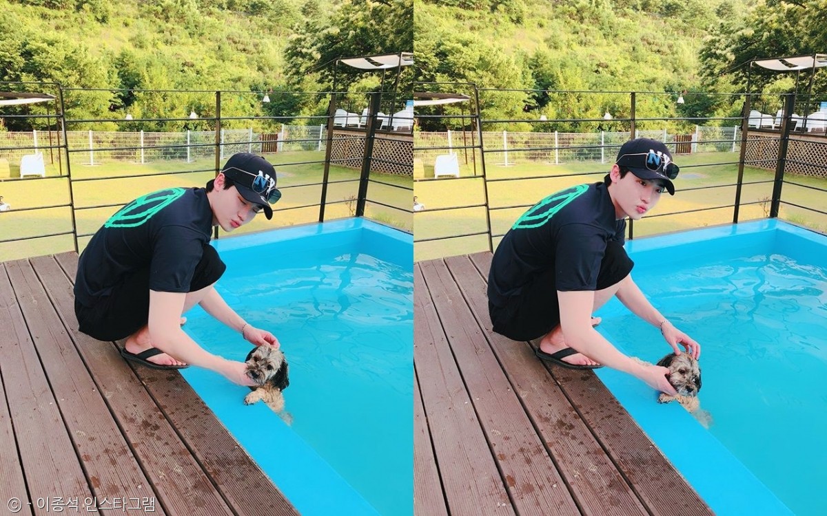 노트펫