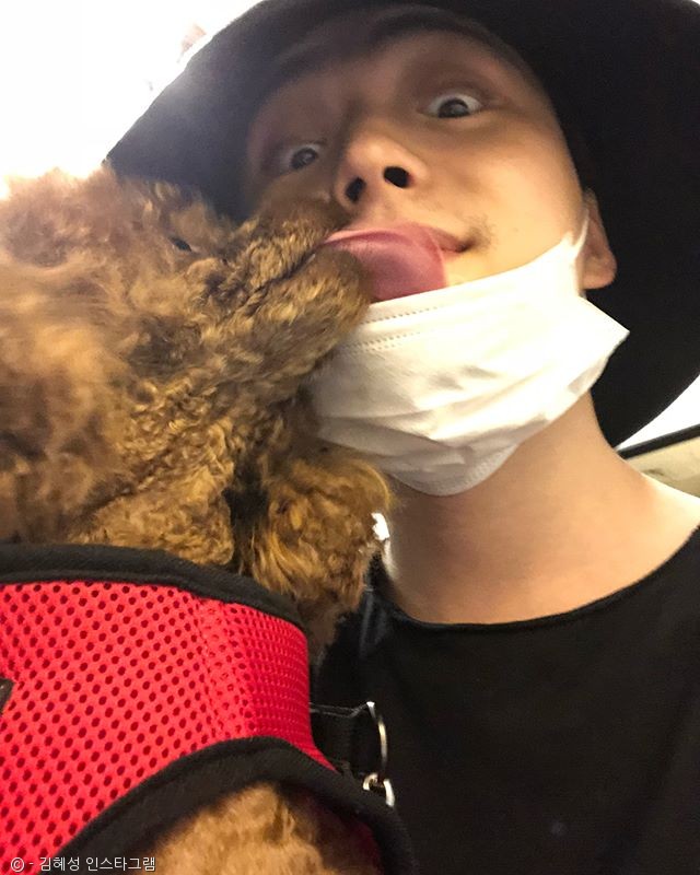 노트펫