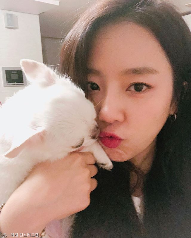 노트펫