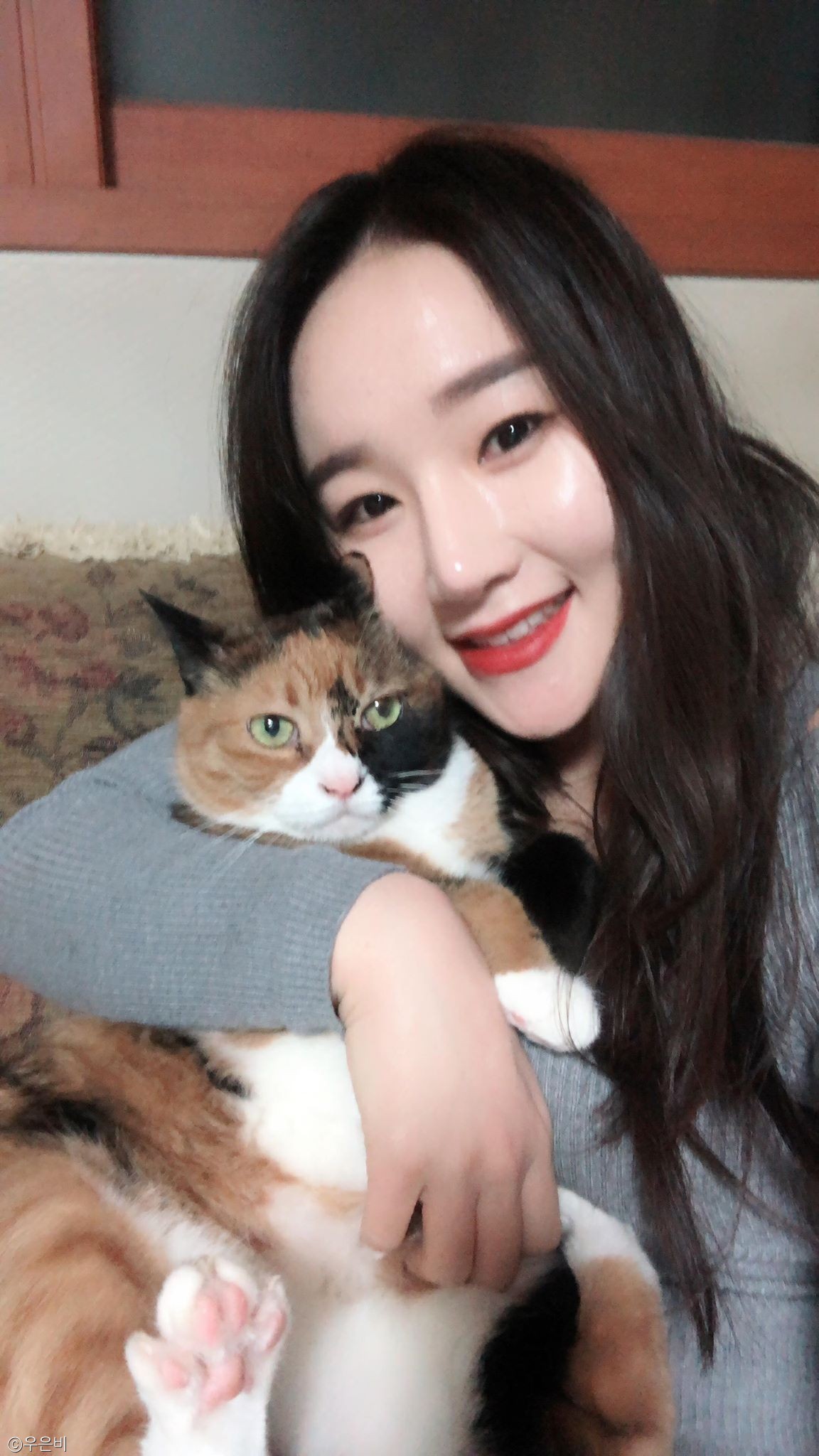 노트펫