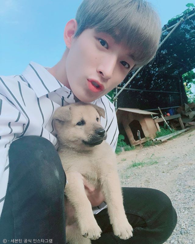 노트펫