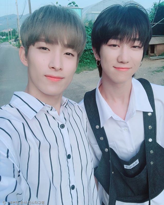 노트펫