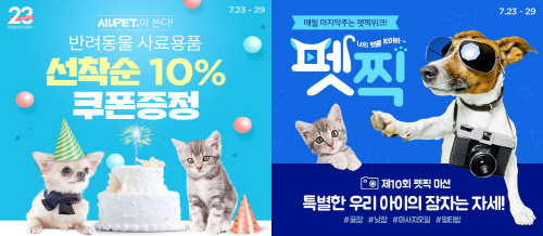 노트펫