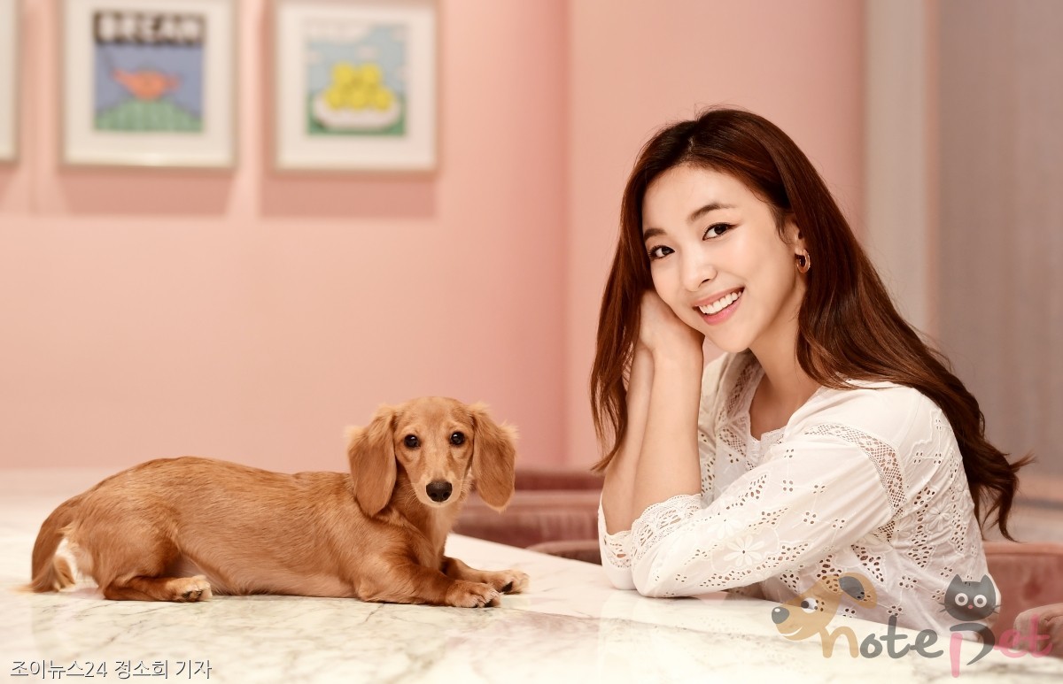 노트펫
