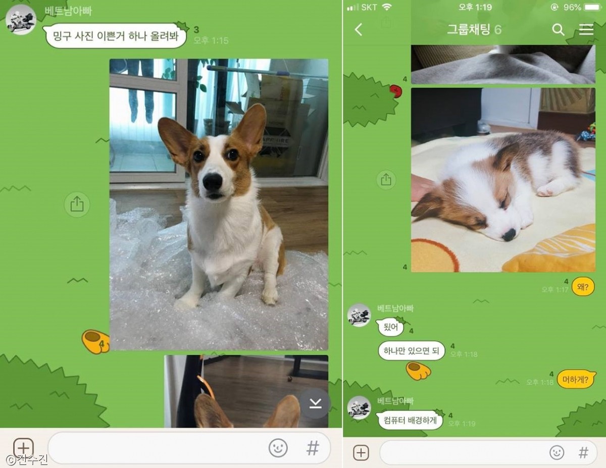 노트펫