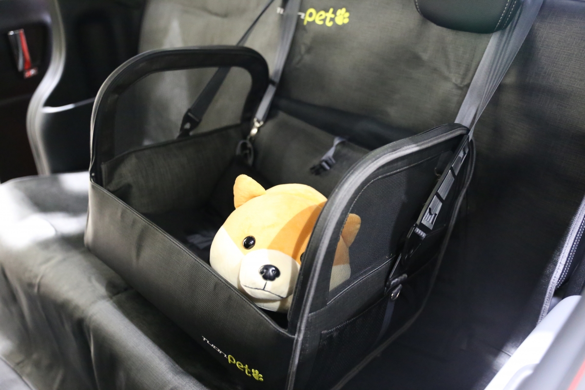 노트펫