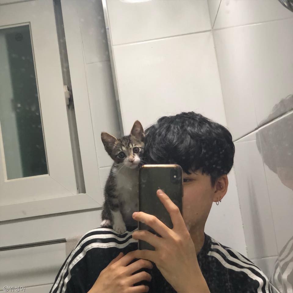 성아조명 이미지