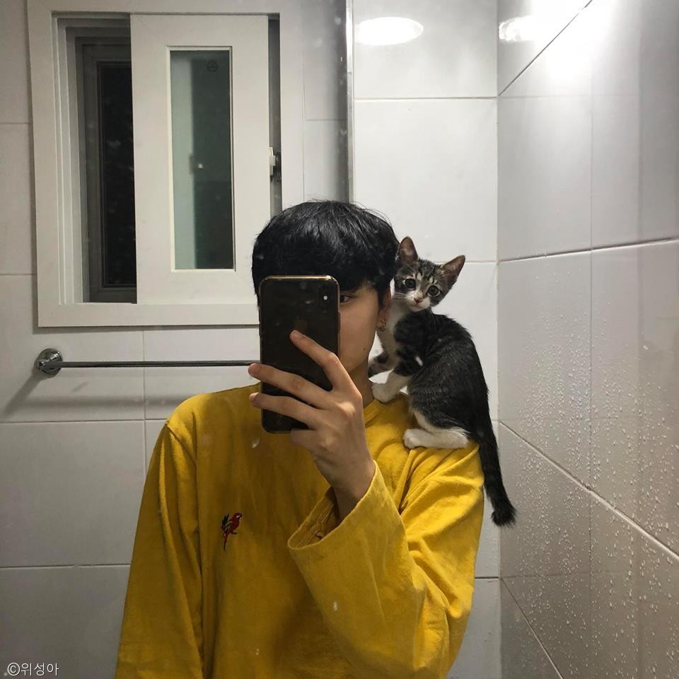 노트펫