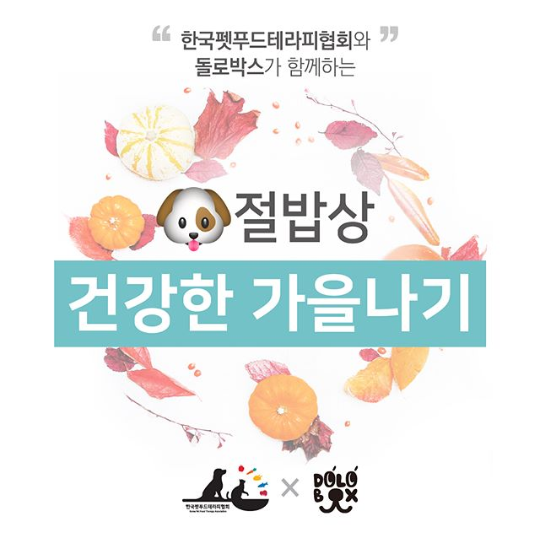 노트펫