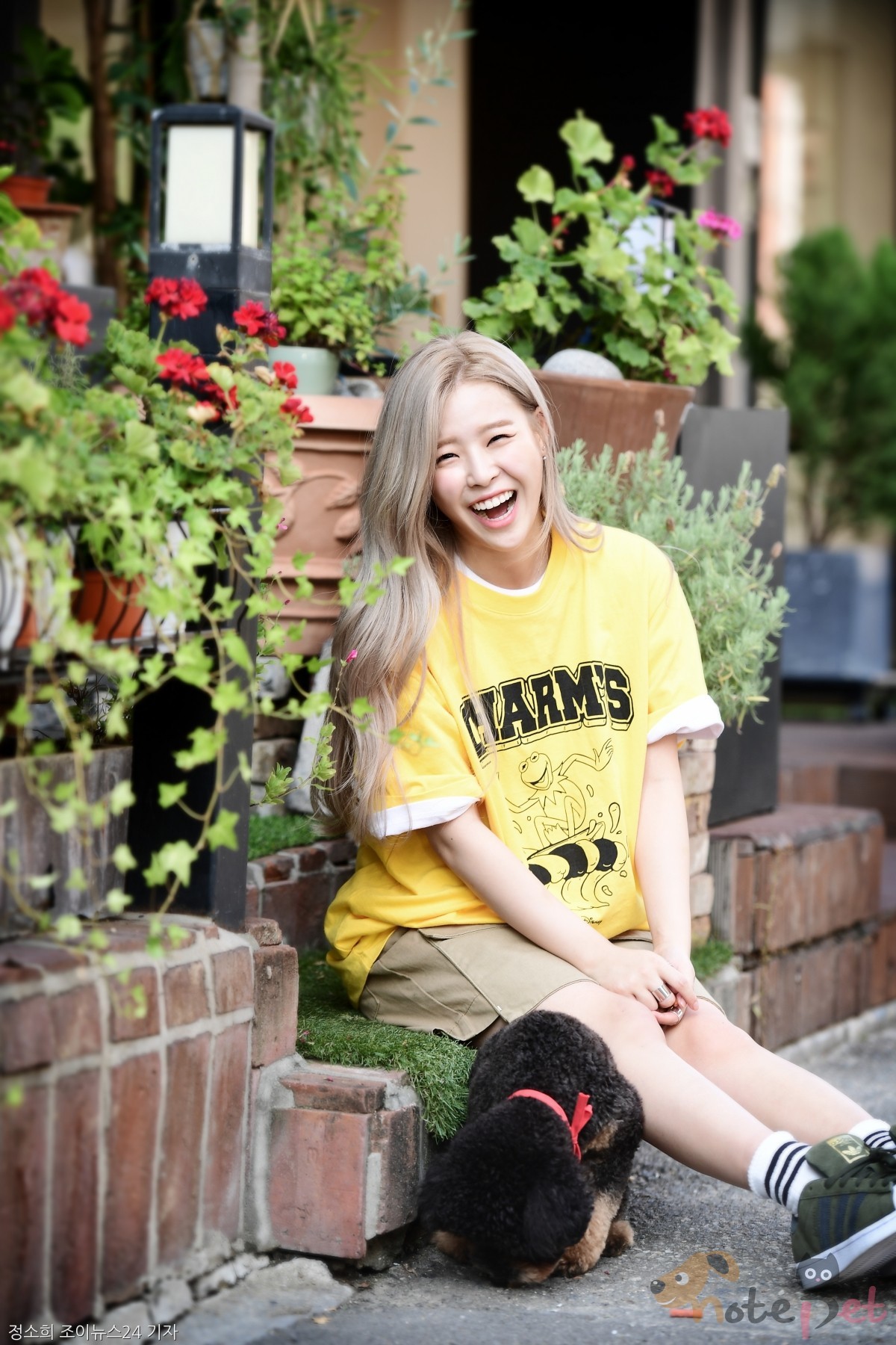 노트펫