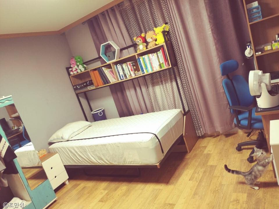 노트펫