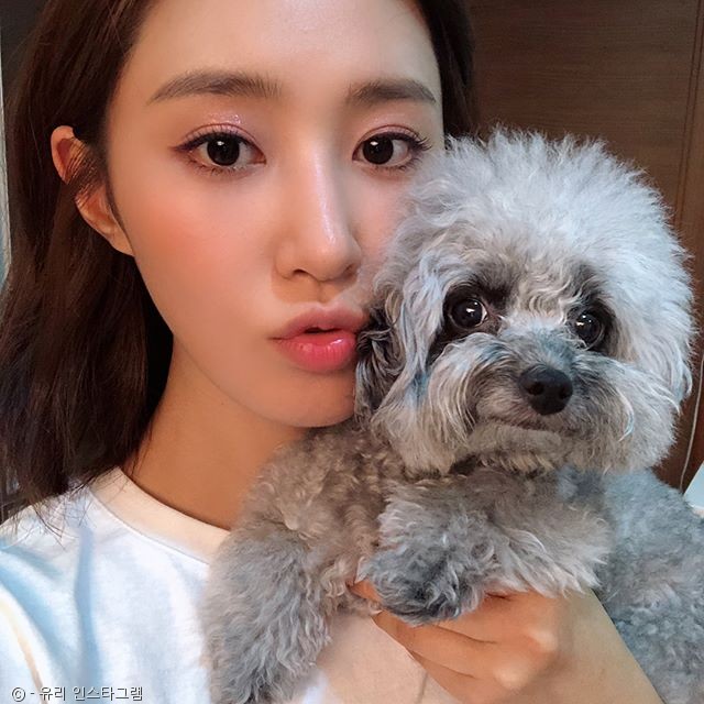 노트펫