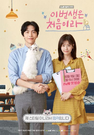 노트펫