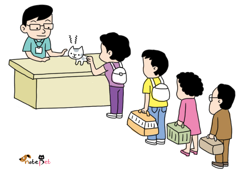 노트펫
