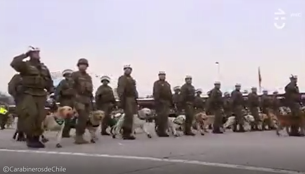 노트펫